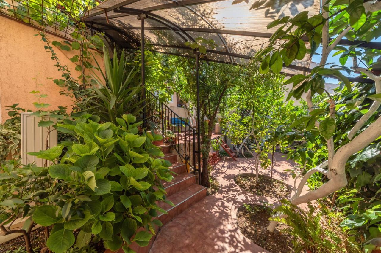 Apartments Pod Lozom With Seaview Petrovac Quarto foto